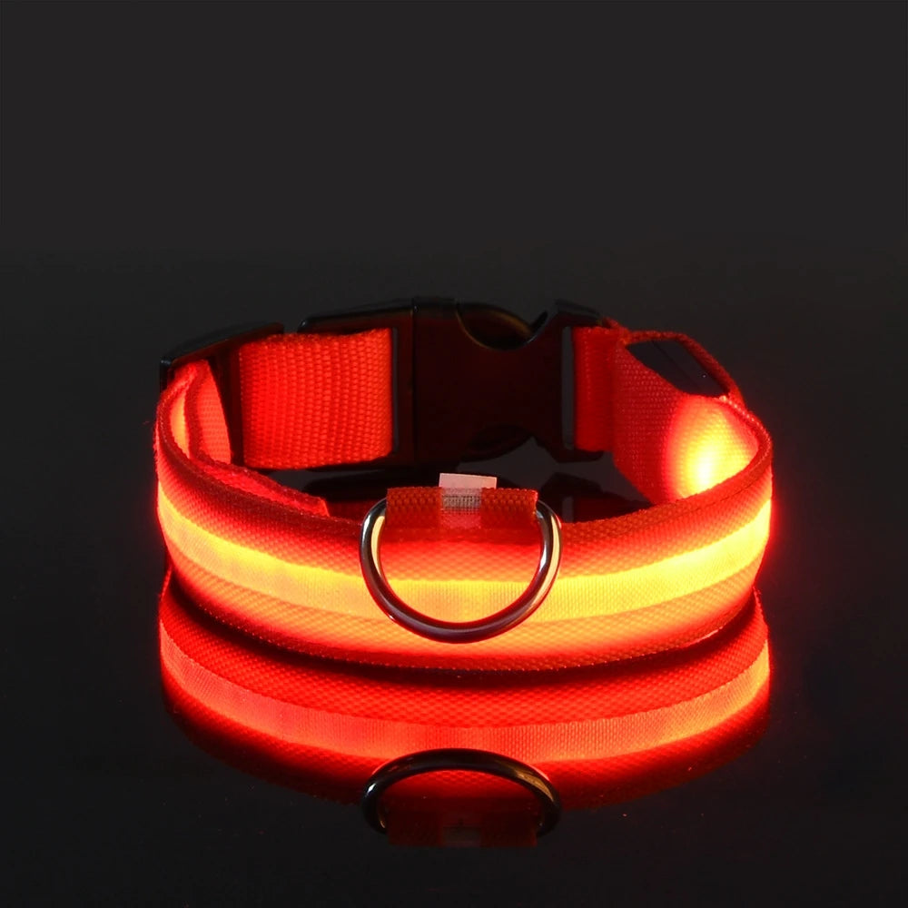 Collier de sécurité LED - Haute visibilité