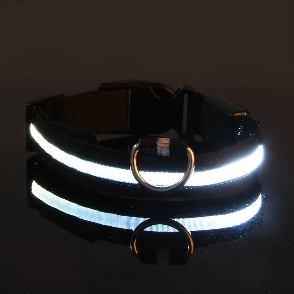 Collier de sécurité LED - Haute visibilité