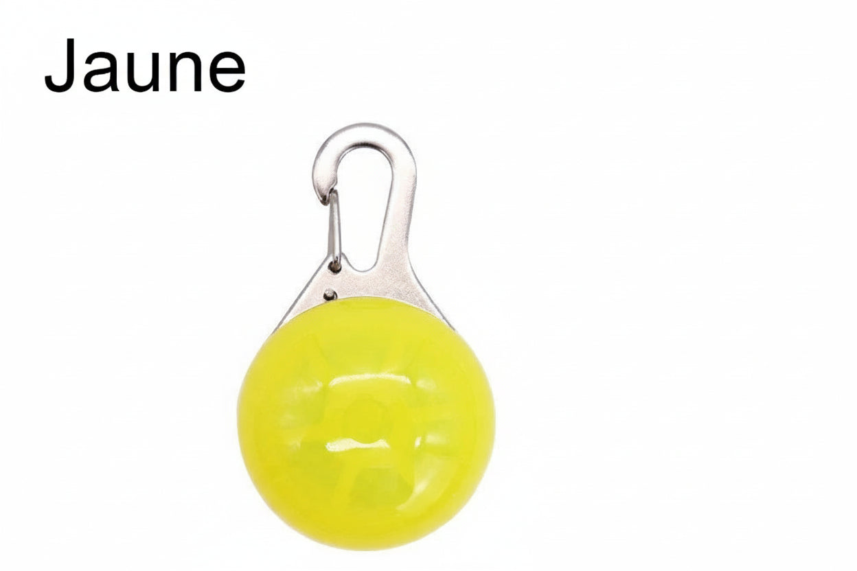 Médaille lumineuse SafeNight™ - Sécurité LED pour Chien & Chat