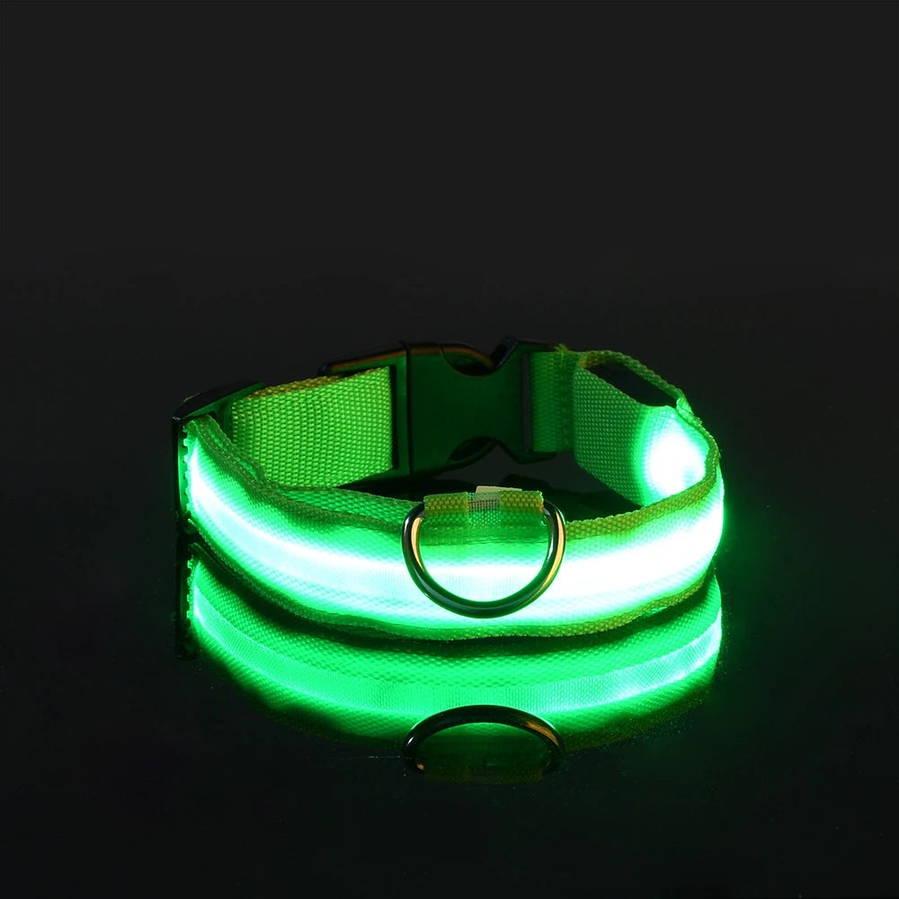 Collier de sécurité LED - Haute visibilité