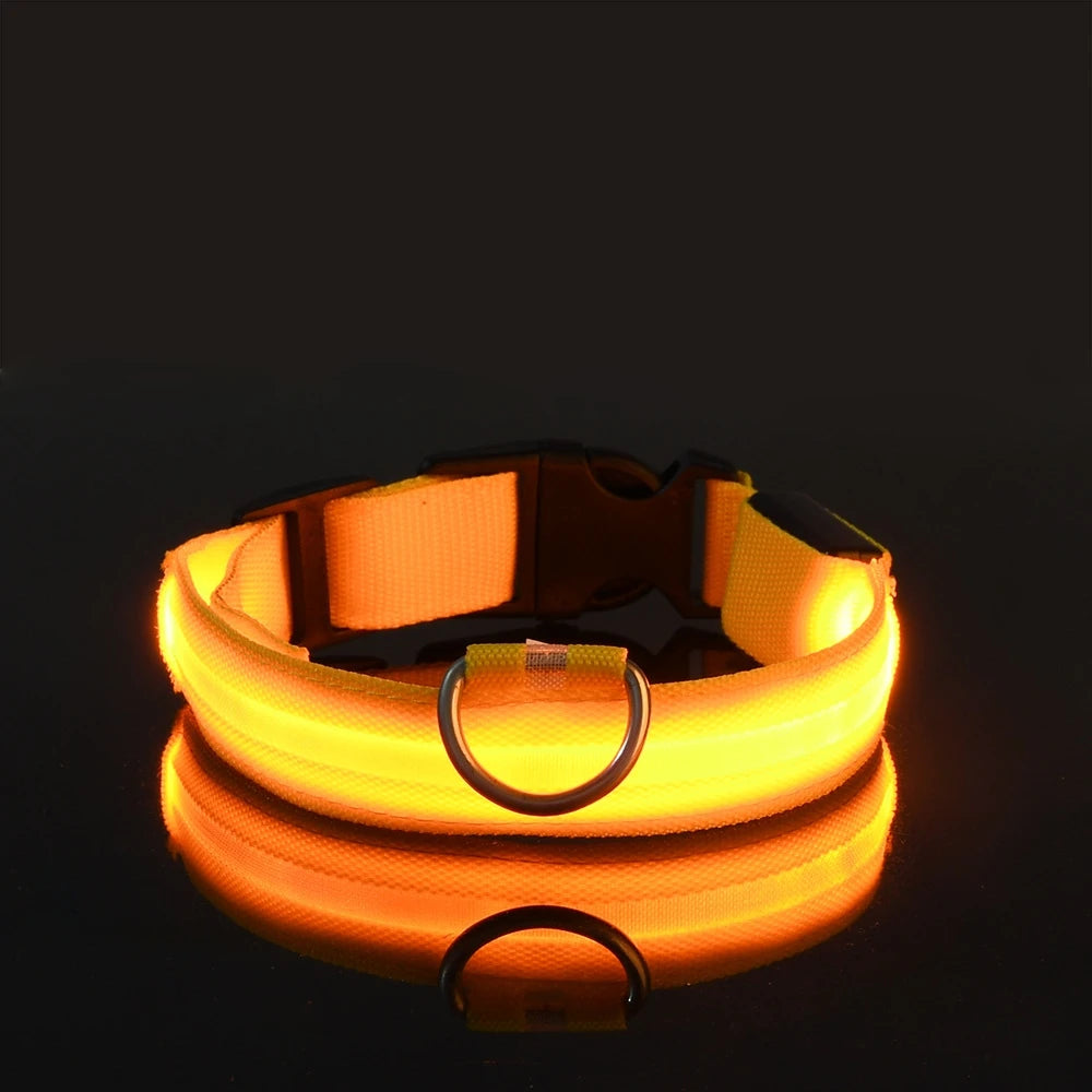 Collier de sécurité LED - Haute visibilité