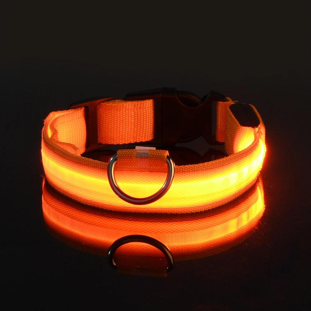 Collier de sécurité LED - Haute visibilité