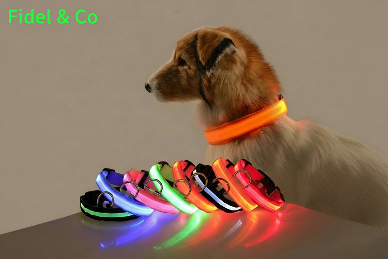 Collier de sécurité LED - Haute visibilité