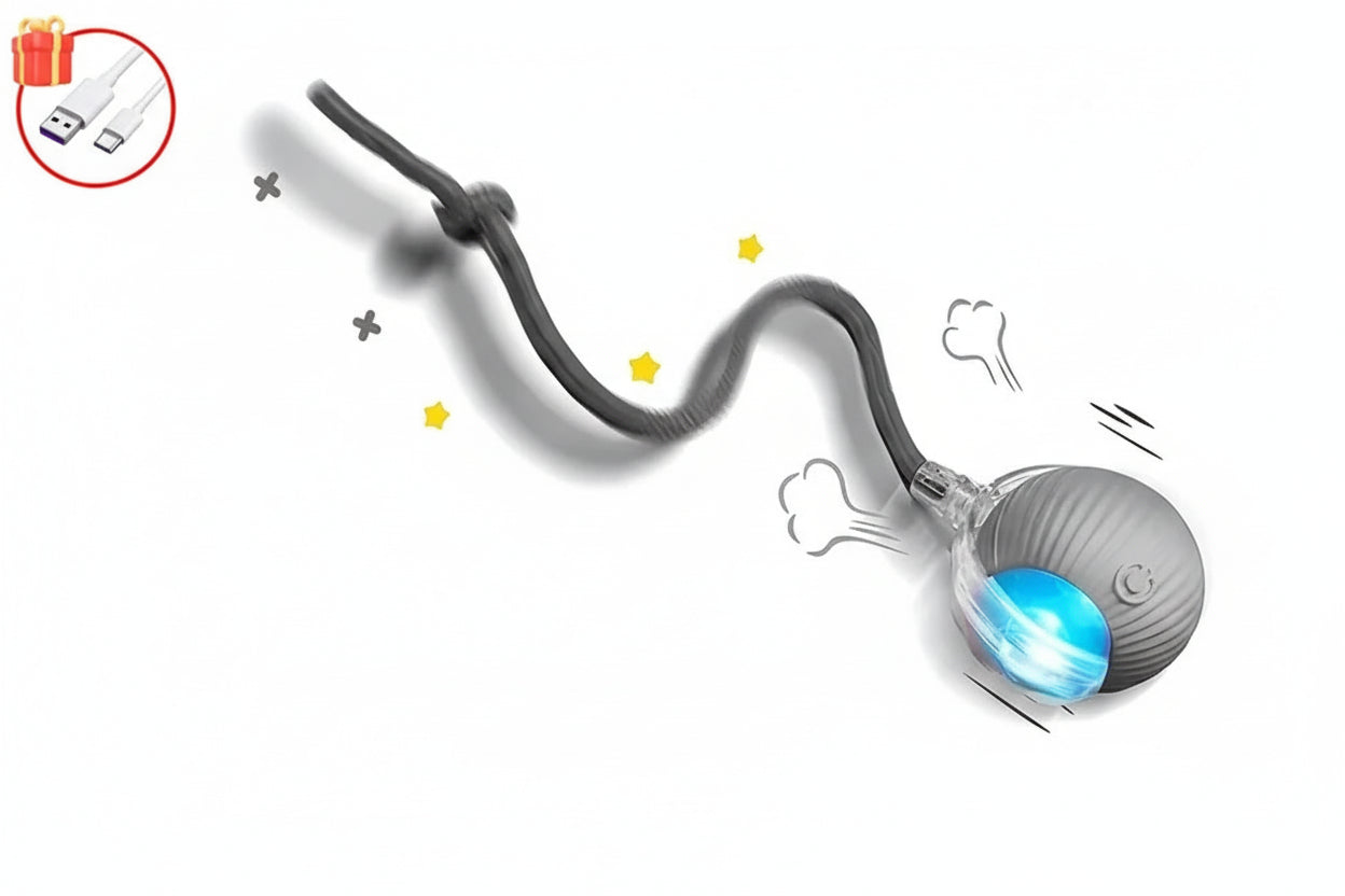 Balle Intelligente Interactive