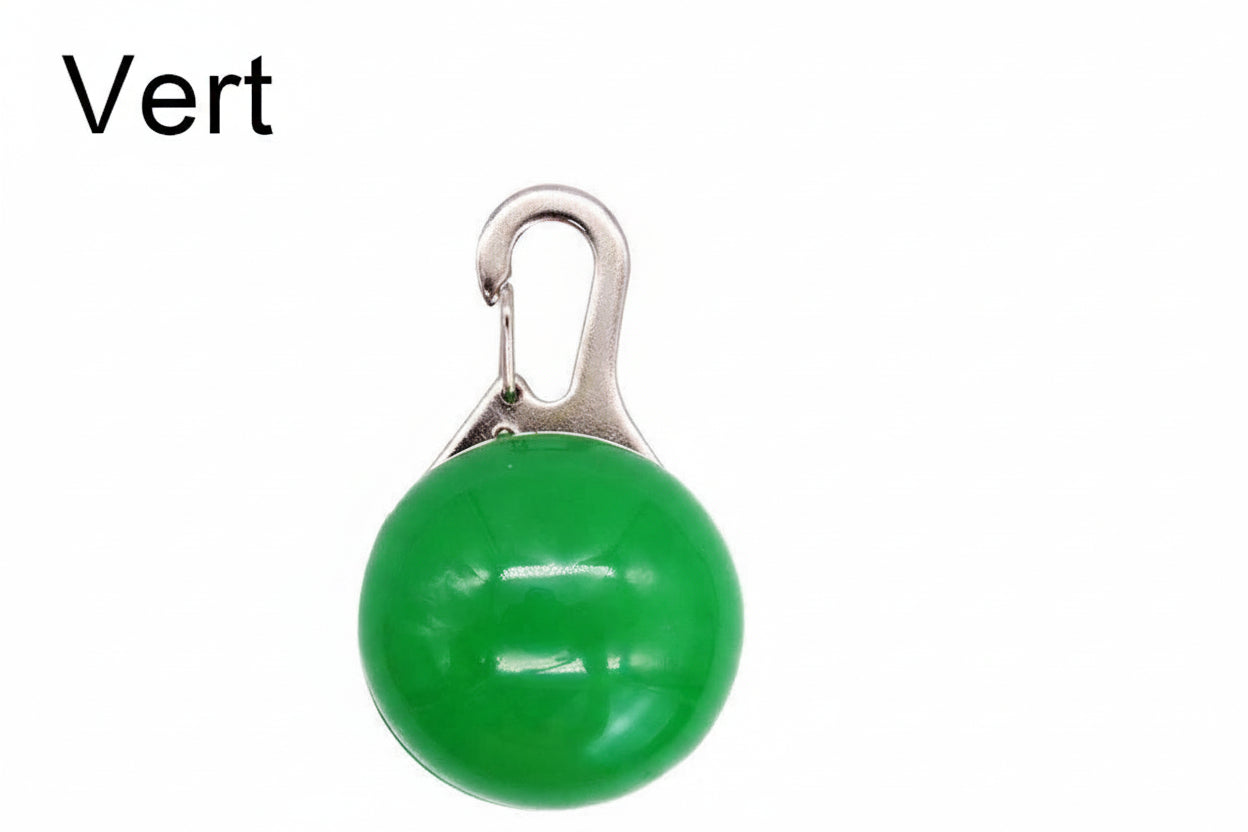 Médaille lumineuse SafeNight™ - Sécurité LED pour Chien & Chat