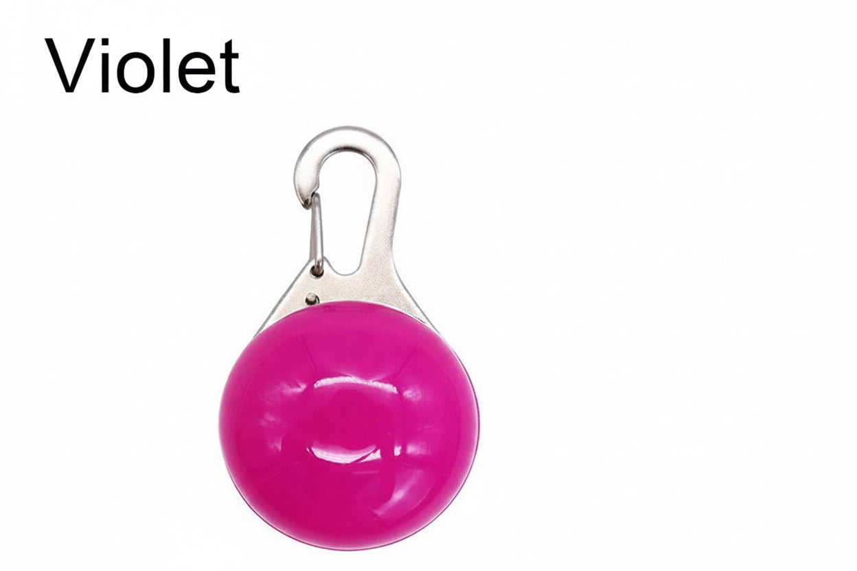 Médaille lumineuse SafeNight™ - Sécurité LED pour Chien & Chat