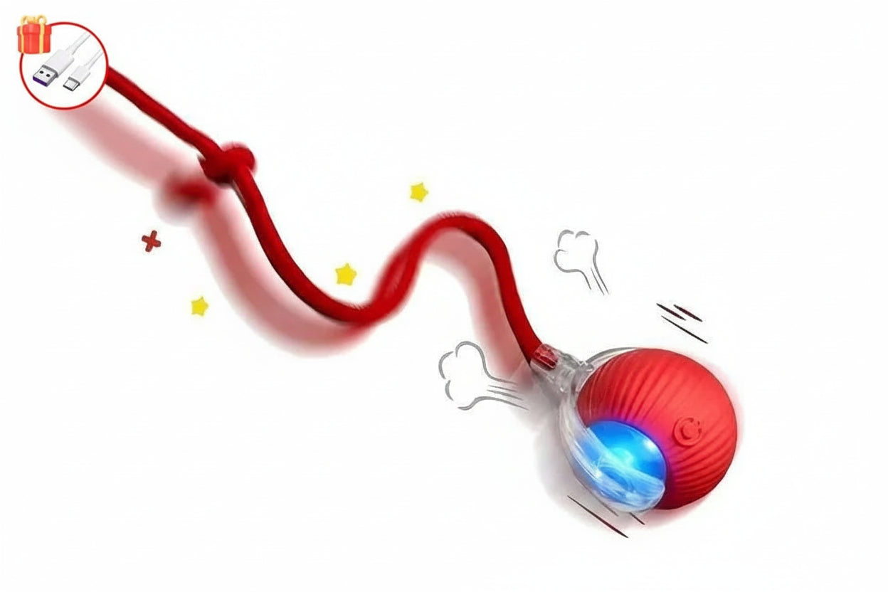 Balle Intelligente Interactive