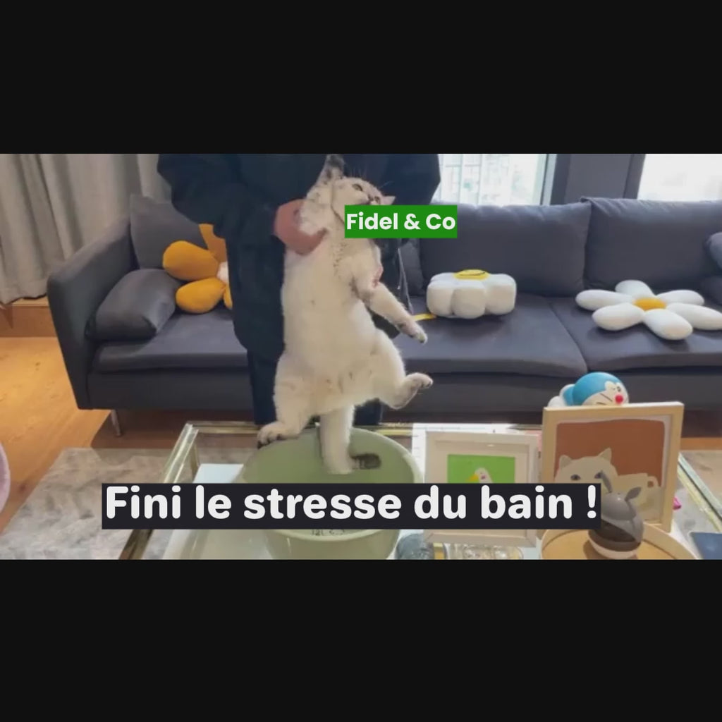 Brosse Vapeur 3-en-1