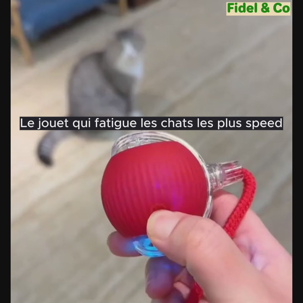 Balle Intelligente Interactive